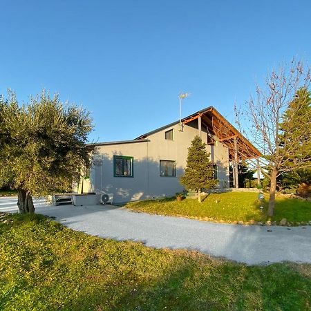 Olive Grove Guest House Anavyssos Exterior photo