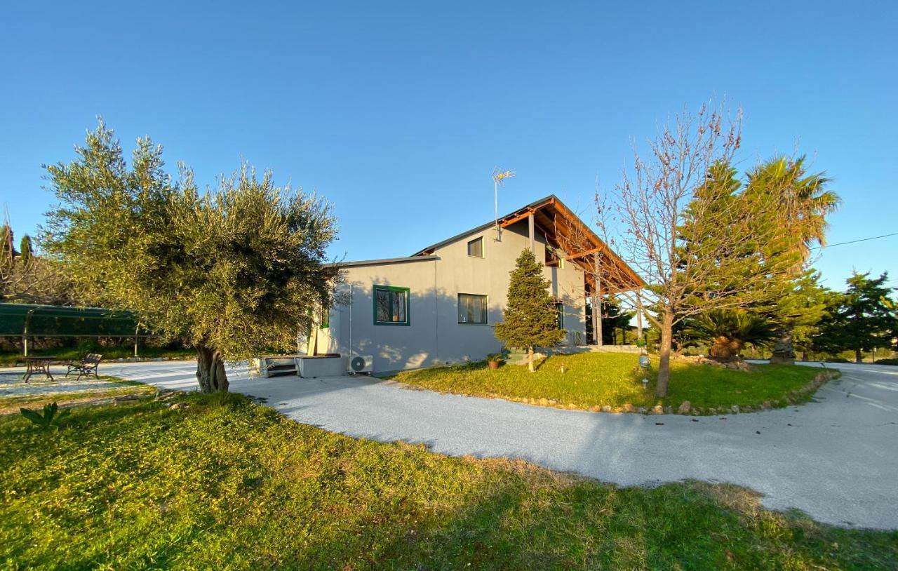 Olive Grove Guest House Anavyssos Exterior photo