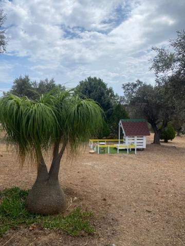 Olive Grove Guest House Anavyssos Exterior photo